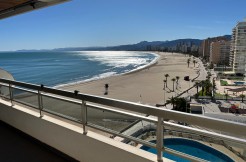 WhatsApp Image 2025-11-25 at 12.58.17(5)