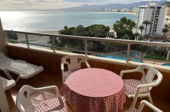 WhatsApp Image 2025-12-05 at 11.38.09(5)